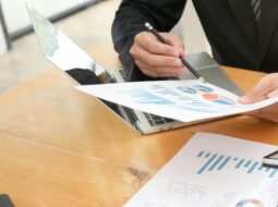 Global Business Portfolio